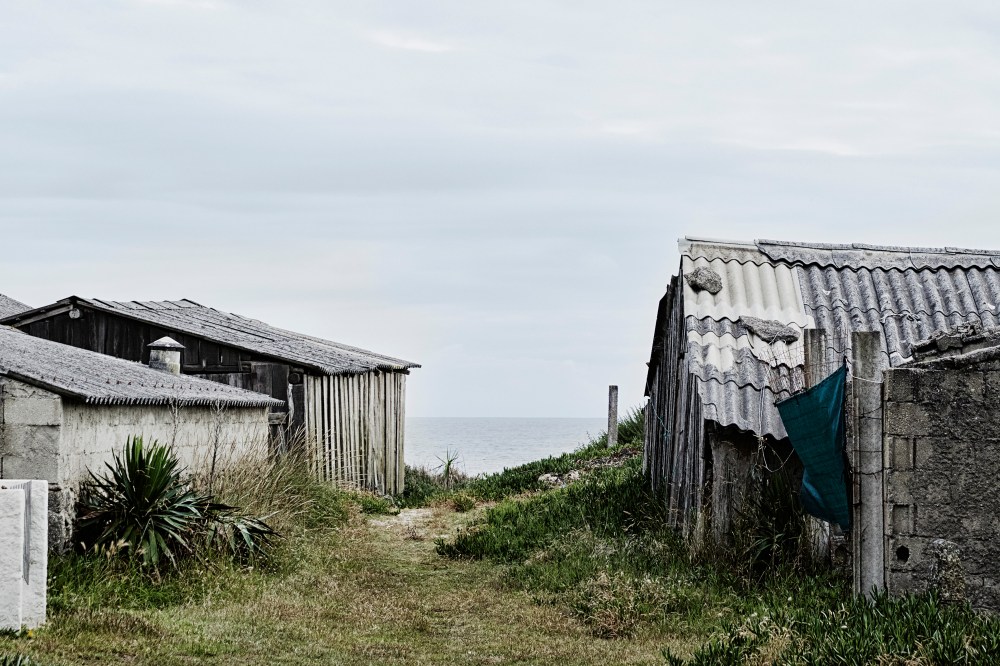 wagtailgirlsannakern_portugal_i06a6718crop