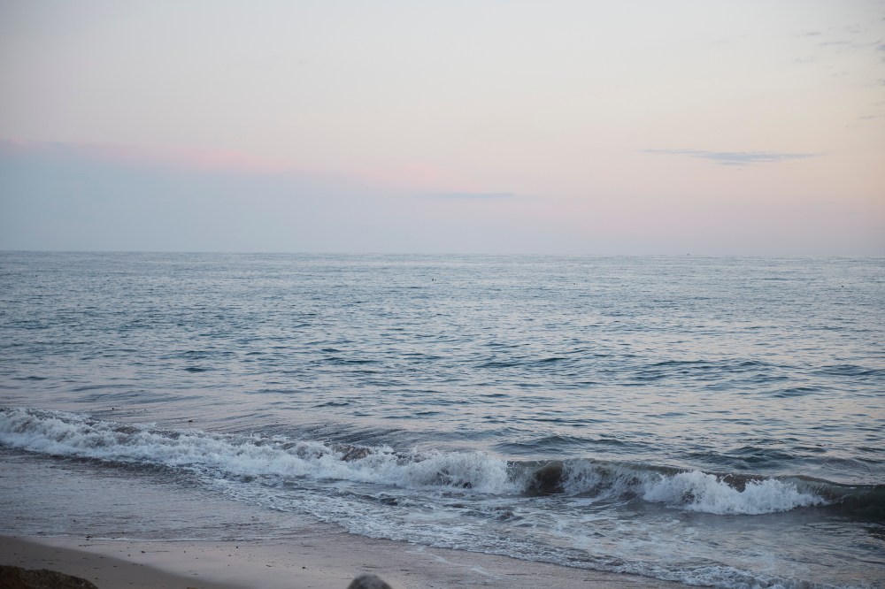 wagtailgirlsannakern_portugal_i06a8520