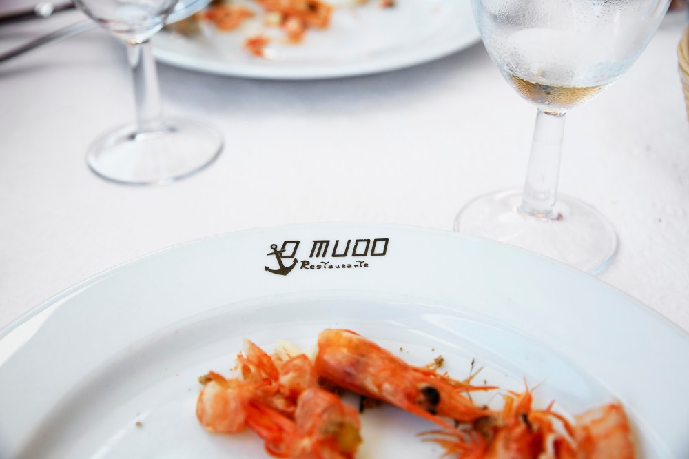 wagtailgirlsannakern_portugal_i06a9531