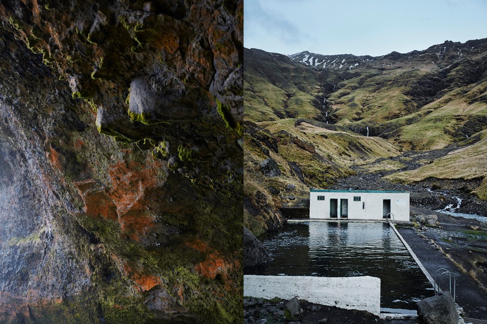 wagtailgirlsannakern_iceland1