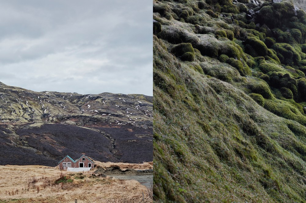 wagtailgirlsannakern_iceland5