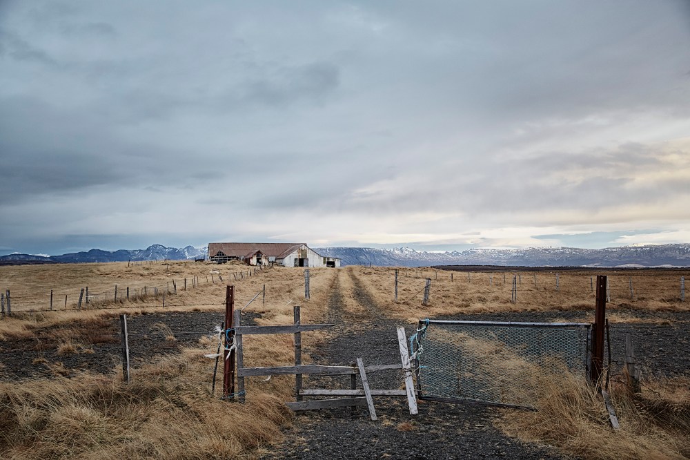 wagtailgirlsannakern_icelandI06A5431