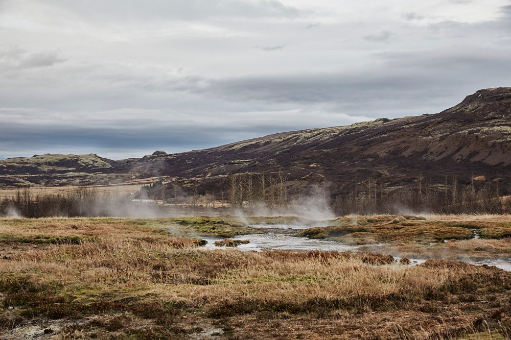 wagtailgirlsannakern_icelandI06A5758