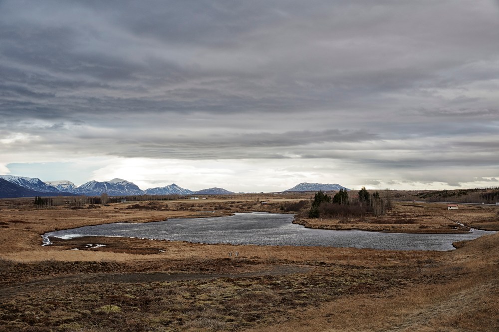 wagtailgirlsannakern_icelandI06A5920