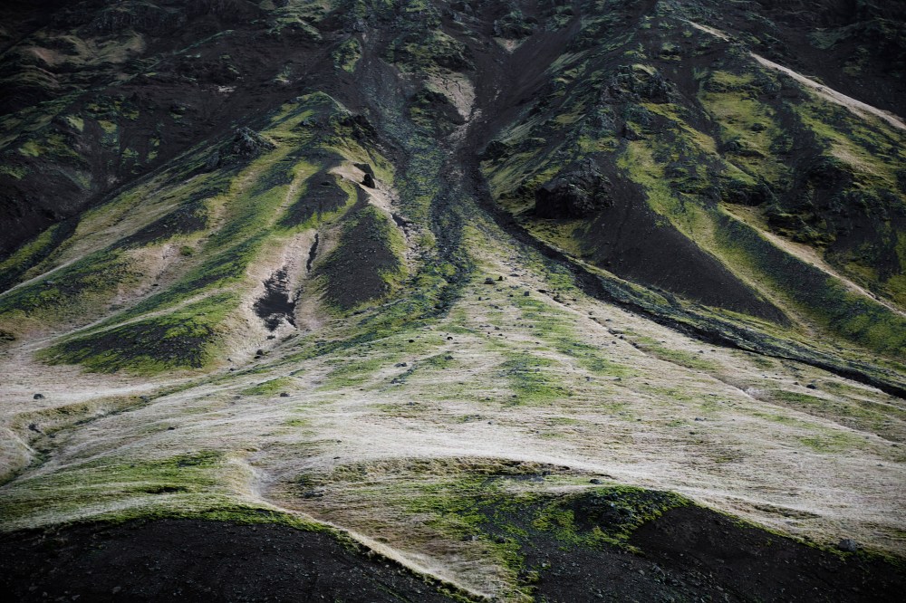 wagtailgirlsannakern_icelandI06A6193