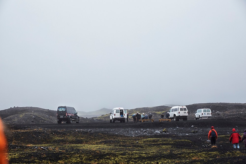 wagtailgirlsannakern_icelandI06A6466