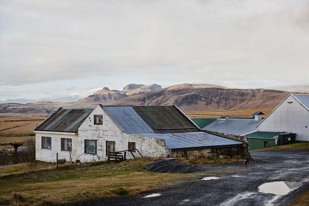 wagtailgirlsannakern_icelandI06A6485