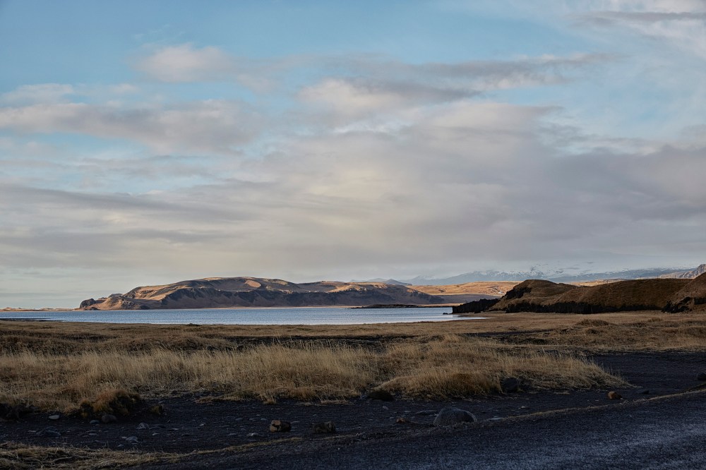 wagtailgirlsannakern_icelandI06A6652