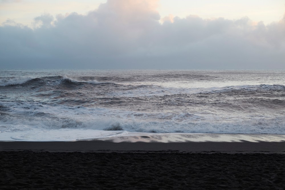 wagtailgirlsannakern_icelandI06A6858