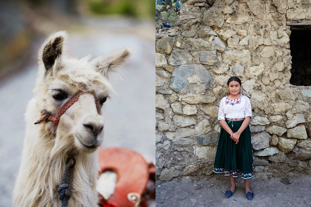 wagtailgirls_annakern_ecuador_alausi3