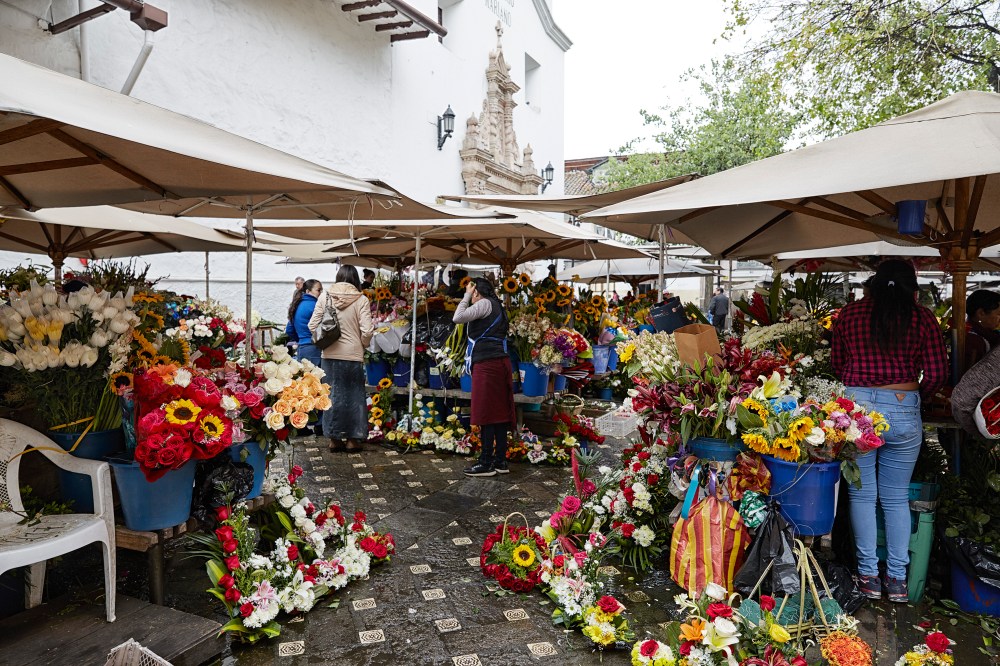 wagtailgirls_annakern_ecuador_cuenca_ecuador2019 I06A4274