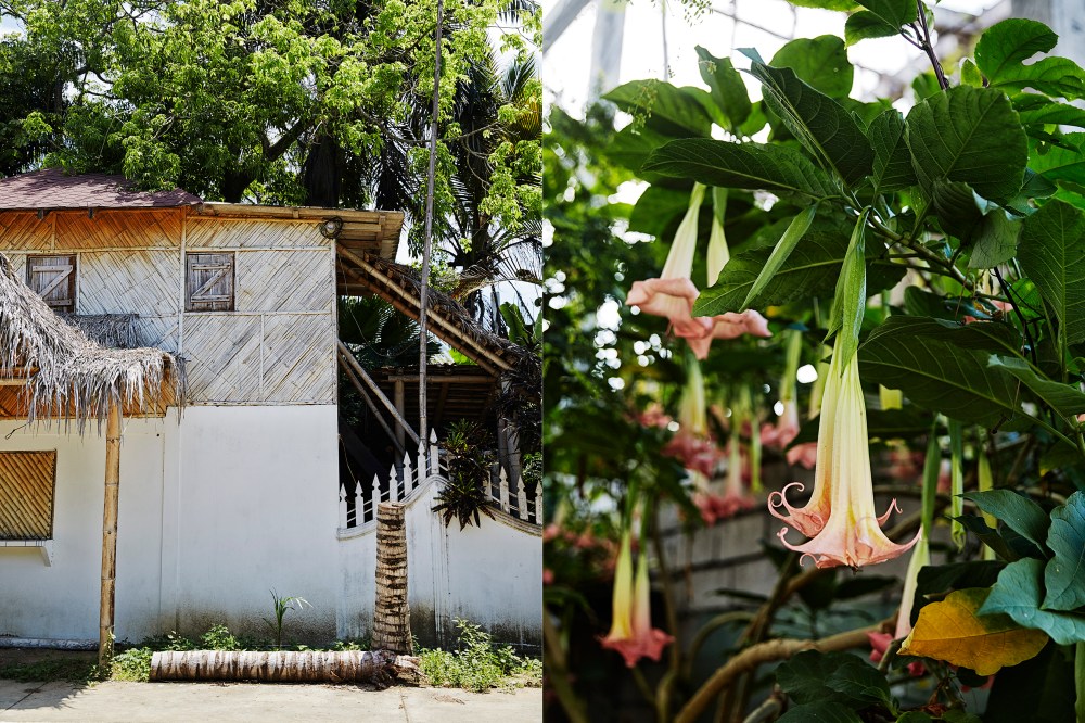 wagtailgirls_annakern_ecuador_curia5