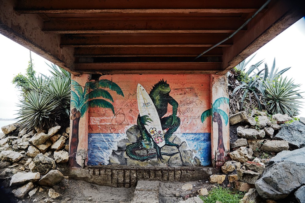 wagtailgirls_annakern_ecuador_playas_ecuador2019 I06A1268