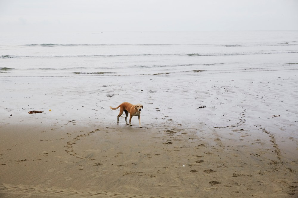 wagtailgirls_annakern_ecuador_playas_ecuador2019 I06A1289