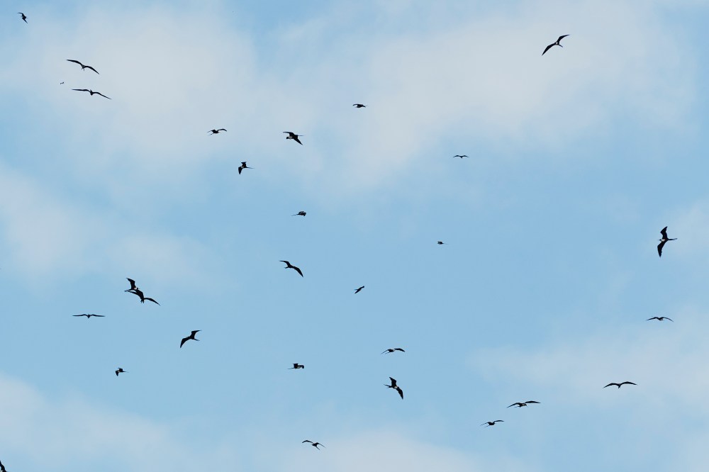 wagtailgirls_annakern_ecuador_playas_ecuador2019 I06A1743b