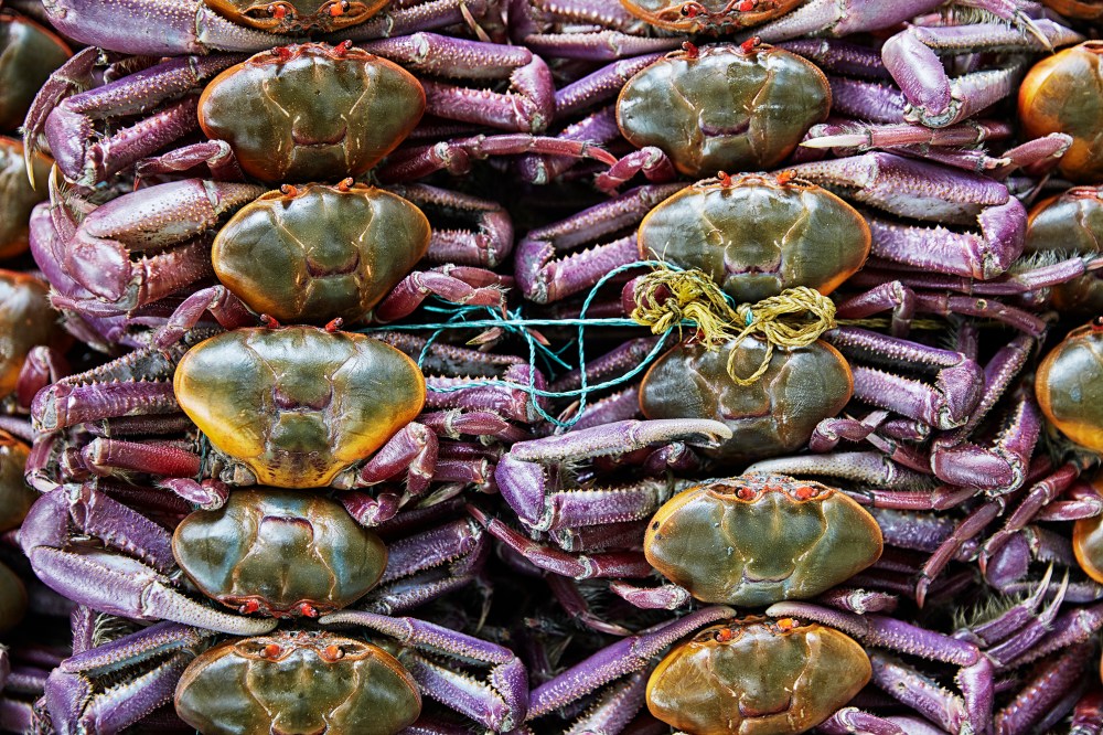 wagtailgirls_annakern_ecuador_playas_ecuador2019 I06A1794