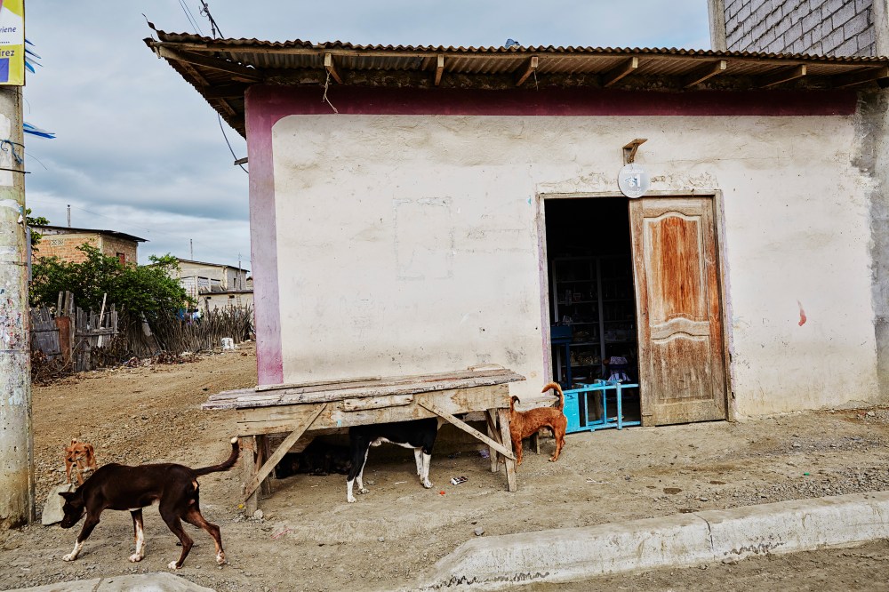 wagtailgirls_annakern_ecuador_playas_ecuador2019 I06A1907