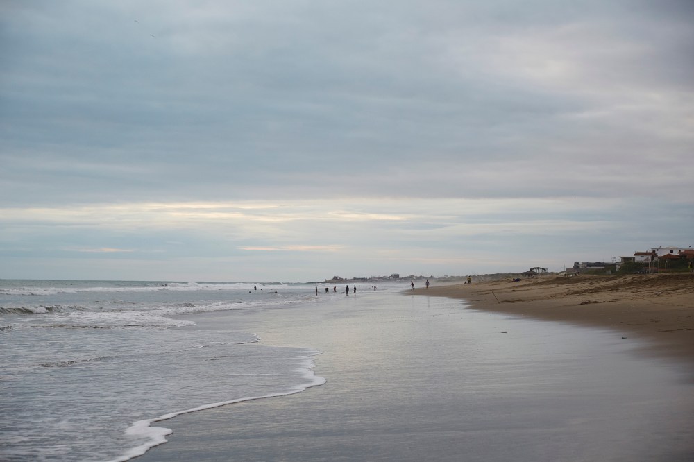 wagtailgirls_annakern_ecuador_playas_ecuador2019 I06A2075