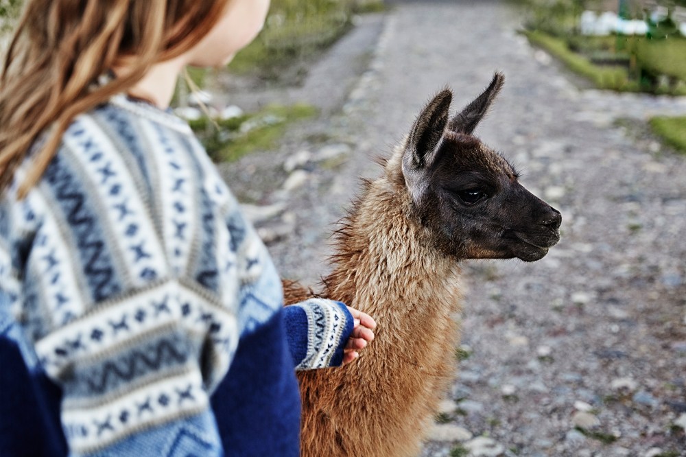 wagtailgirls_annakern_ecuador_riobamba_ecuador2019 I06A2735