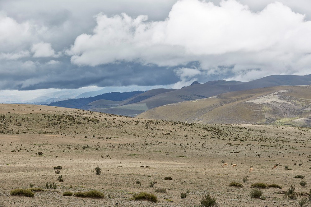 wagtailgirls_annakern_ecuador_riobamba_ecuador2019 I06A3133