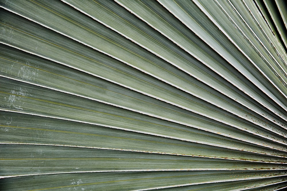 wagtailgirls_annakern_ecuador_playas_ecuador2019 I06A2285