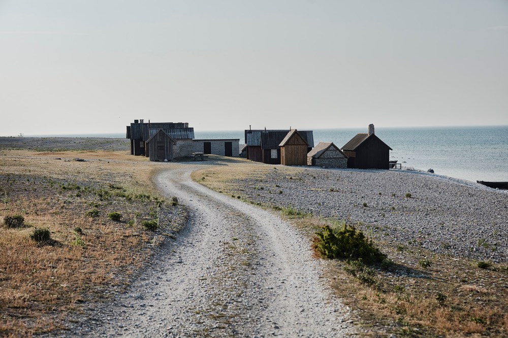 wagtailgirls_annakern_gotland_51A2699