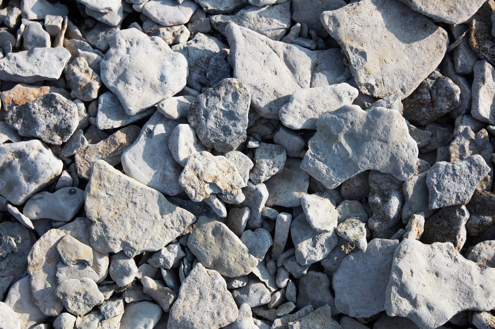 wagtailgirls_annakern_gotland_51A3266