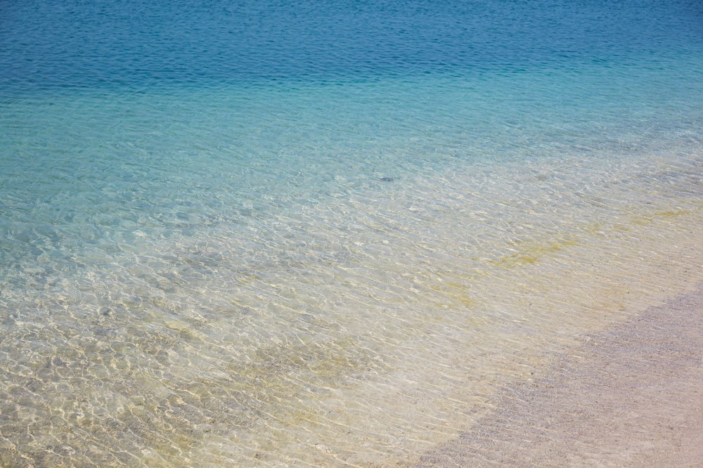 wagtailgirls_annakern_gotland_51A3591