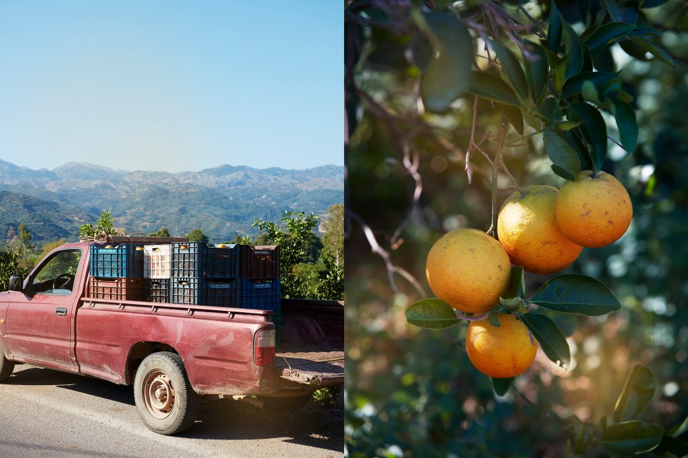 wagtailgirls_annakern_crete11