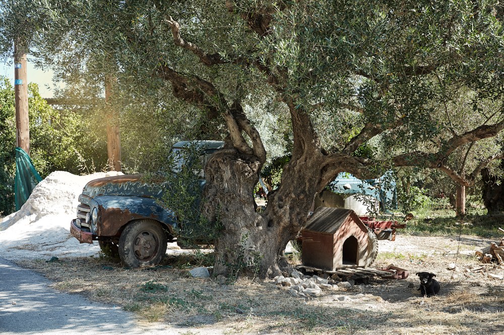 wagtailgirls_annakern_crete_51A1113