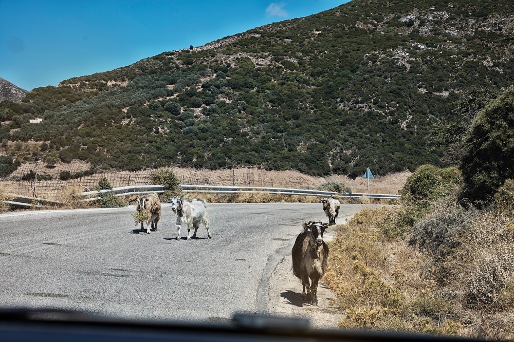 wagtailgirls_annakern_crete_51A1377