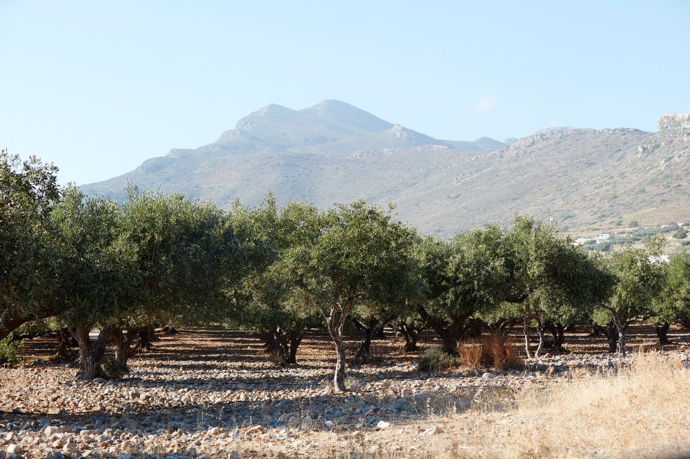 wagtailgirls_annakern_crete_51A1664